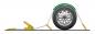Preview: Spannband mit Ratsche für Bisarca, Wirbelhaken - 3000 Kg - 3,5x250 cm