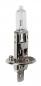 Preview: 24V-Halogenlampe Pro - H1 - 70W - P14,5s - 1 Stk - Schachtel
