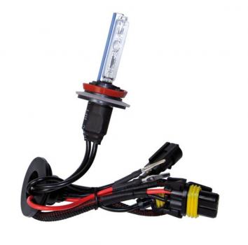 12/24V HID-Xenon-Lampe 8.000K - H9 - 1 Stck - Schachtel