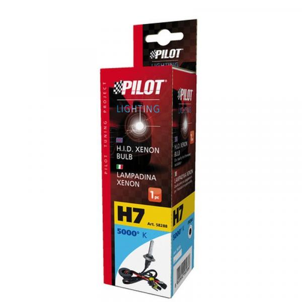 12/24V HID-Xenon-Lampe 5.000K - H7 - 1 Stück - Schachtel