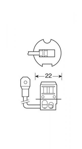 24V-Halogenlampe Blu-Xe - H3 - 70W - PK22s - 2 Stück - Schachtel